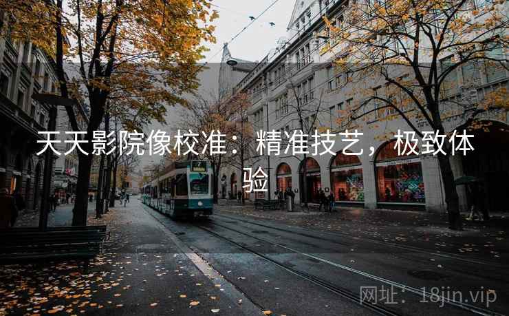 天天影院像校准：精准技艺，极致体验