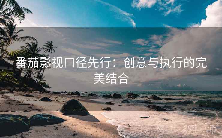 番茄影视口径先行：创意与执行的完美结合